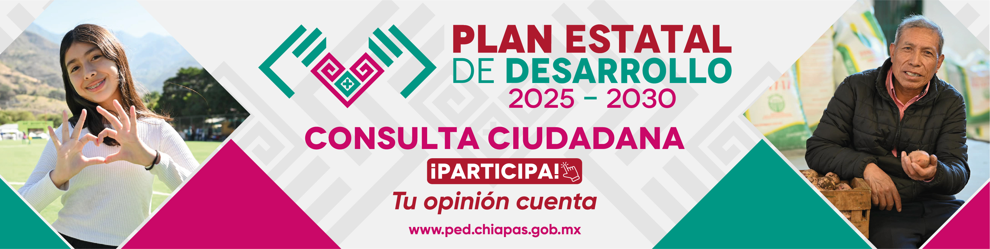 Consulta Ciudadana